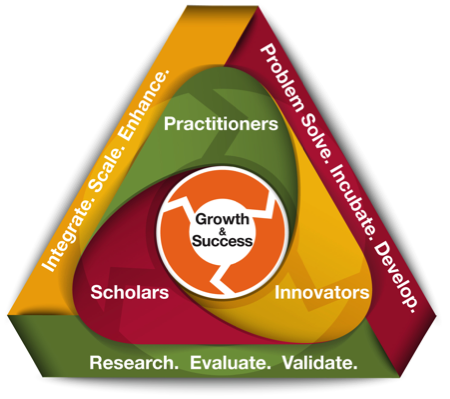 COE Conceptual Framework